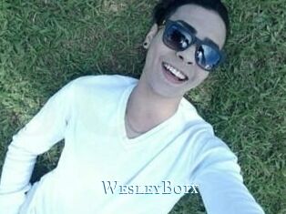 Wesley_Boix