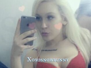 Xoxosnowbunny