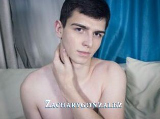 Zacharygonzalez